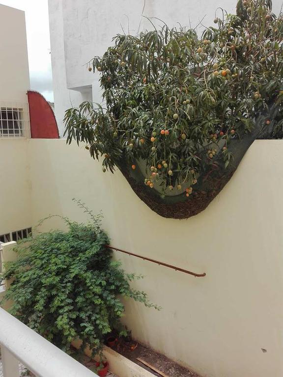 Simabo'S Backpackers' Hostel منديلو المظهر الخارجي الصورة